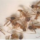 한수축산 이미지