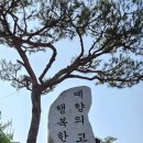 예산-49 이미지