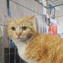 순천향로 이미지