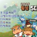 횡성안흥더덕 이미지