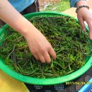 강민농장 이미지