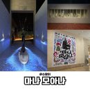 문화광장_교통섬 | 국립중앙박물관 마나모아나 | 태평양 섬 문화와 예술