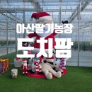 (주)아이들팜 | 아산딸기농장 벌써 딸기가?아산딸기 도치팜후기
