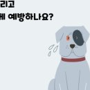 호계동물병원 이미지