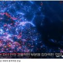 스탠퍼드 뇌과학자가 깨달은 자아의 충격적인 진실 &#39;무의식은 어떻게 나를 설계하는가&#39; 이미지