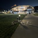 수아리아리애견 이미지