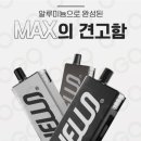 맥스전자 이미지