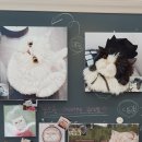 펫 노리터 이미지