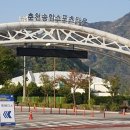 193 | 2026 춘천호반마라톤 하프 참가 후기 with 193번째 미라클 모닝