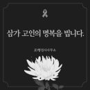 대전문화행정사사무소 이미지