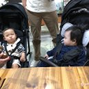 레오와 젠 네이버블로그