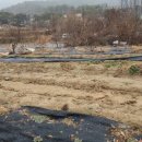 가덕공인중개사사무소 이미지