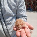 오태동물병원 이미지