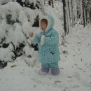 눈과 함께 이미지