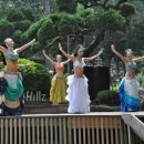 밸리댄스 이미지