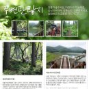 계곡민박 이미지