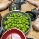 김종구농장 | 갑자기 이렇게 더워진다고요? 6월의 일기