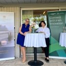 아일랜드 이미지