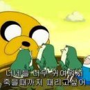 포키