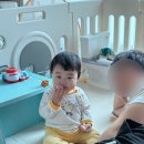 소로3-117 | 우당탕탕한 사랑이네의 일상 자유부인 주말 도시락 매일 만드는 이유식 유아식 안나카리레나