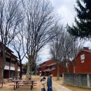 동은다방 | 용산놀거리 미군기지 용산공원반환부지 장교숙소 주차