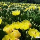 해남하나농장 2농장 이미지