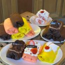 포니하우스 이미지