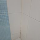 해운대쌍용플래티넘트윈 이미지