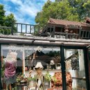 (주)치즈크리에이티브 | [두번째치앙마이] ChiangMai _05