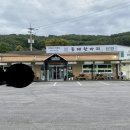 지푸라기 동태한마리 티스토리