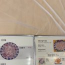 완도산회송파별관