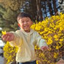 인라인롤러장 | 춘천 롤러장 롤러퀸 후기｜아이와 가볼만한 곳, 인라인 대신 롤러스케이트 추천