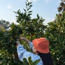 애월309 뷰 스테이 이미지