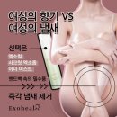 시크릿 이너(Secret Inner)