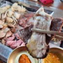 호일농장 이미지