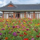 카페1192