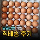 알부자집 무항생제 계란 후기 | 당일산란 택배