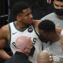 에이스팜 코리아 이미지