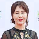 법인예술혼