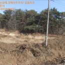 송동면 내사촌마을 네이버블로그