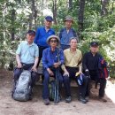 진광농장 이미지