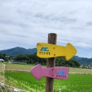 마이산길 이미지