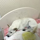 지산3리 이미지