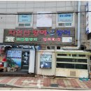 지세포장어 이미지