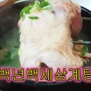 은평구 녹번동 삼계탕/백년백세삼계탕