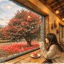 세화 동백그늘 | 겨울 제주도 동쪽 동백꽃 카페 사진보다 중요한 이것, 체크리스트 확인