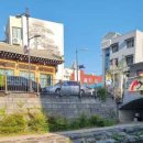 물멍