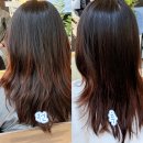 예쁜머리 | 성복역 미용실 “예쁜머리의 정석” 밀본 클리닉 후기