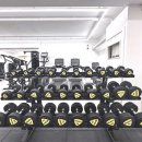 리커버리PT 이미지