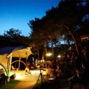 물의 기억 이미지